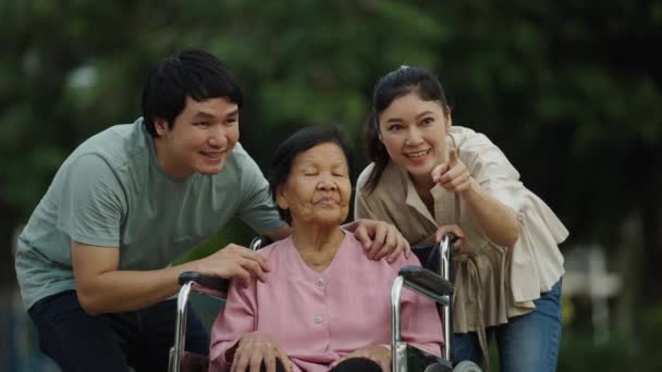 Glücklicher Enkel Und Enkelin Gespräch Mit Seniorin Rollstuhl Park — Stockvideo