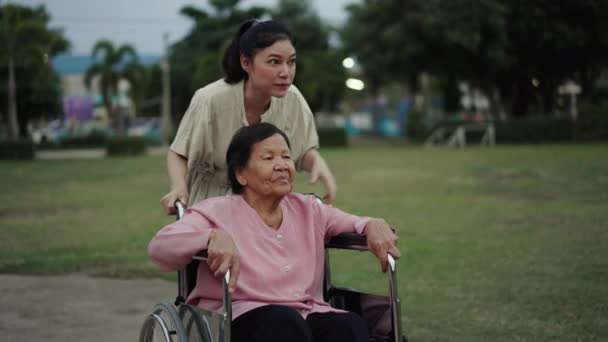 Granddaughter Pushing Senior Woman Wheelchair Looking View Park — Stock Video
