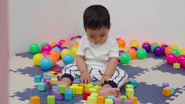 Säugling Spielt Holzklötzchen Laufstall Hause — Stockvideo