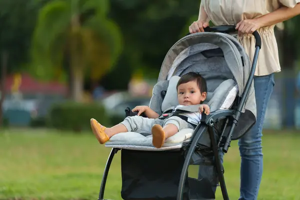 mother pushing infant baby stroller and walking in the park