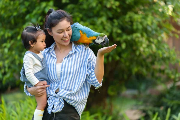 आनंदी आई आणि तिची मुलगी हाताने निळा-आणि पिवळा मकाव (आरा अरूणा) पक्षी आहार विना-रॉयल्टी स्टॉक इमेज