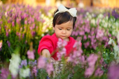 Küçük kız Angelonia çiçeğinin tadını çıkarıyor tarlada açan