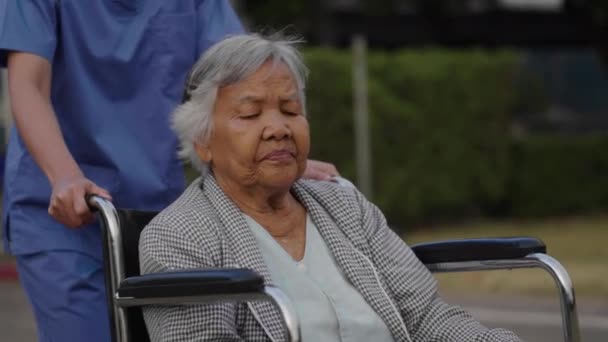 Enfermera Cuidar Empujar Mujer Mayor Silla Ruedas Parque Amable Cuidador — Vídeos de Stock