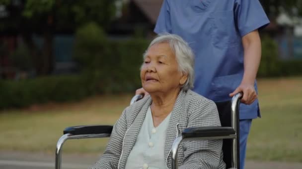 护士在公园里照顾和推着轮椅的老年妇女 友好的照顾者 免版税图库视频