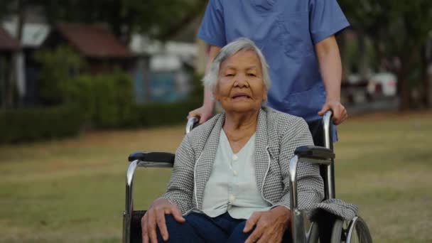 Pielęgniarka Dbać Pchanie Starszych Kobiet Wózku Inwalidzkim Parku Przyjazny Opiekun — Wideo stockowe