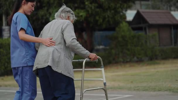 看护护士支持与散步者一起在公园散步的老年妇女 免版税图库视频片段