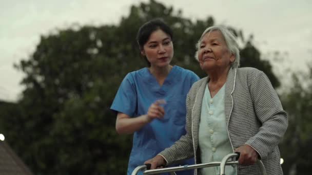 Щаслива Медсестра Піклується Розмовляє Старшою Жінкою Використовуючи Ходунки Парку Стокове Відео 