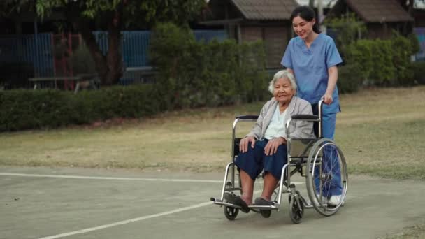 快乐的护士在公园里照顾和推动坐在轮椅上的老年妇女 友善的照顾者 视频剪辑