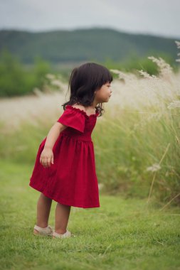 Kırmızı elbiseli neşeli kız tarlada çimen çiçeği oynuyor.