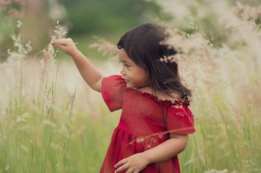 Kırmızı elbiseli neşeli kız tarlada çimen çiçeği oynuyor.