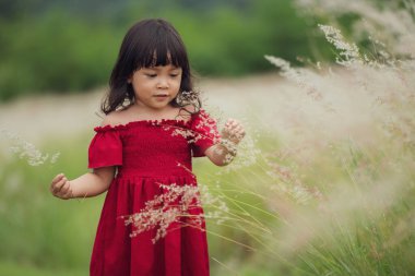Kırmızı elbiseli neşeli kız tarlada çimen çiçeği oynuyor.