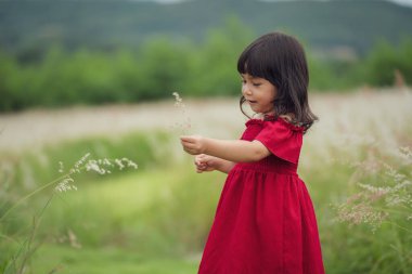 Kırmızı elbiseli neşeli kız tarlada çimen çiçeği oynuyor.