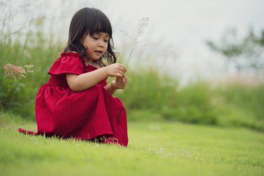 Kırmızı elbiseli neşeli kız tarlada çimen çiçeği oynuyor.