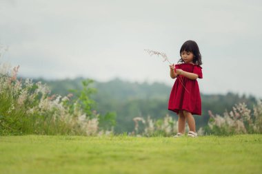 Kırmızı elbiseli neşeli kız tarlada çimen çiçeği oynuyor.