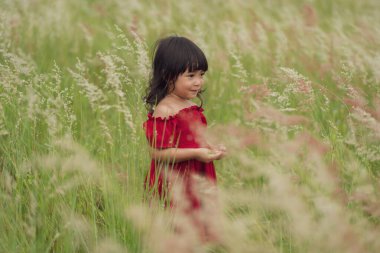 Kırmızı elbiseli neşeli kız tarlada çimen çiçeği oynuyor.