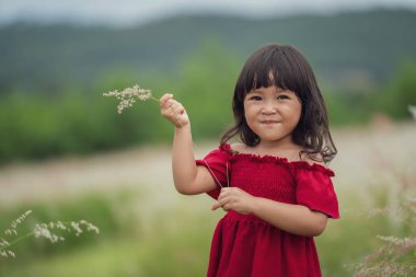 Kırmızı elbiseli neşeli kız tarlada çimen çiçeği oynuyor.
