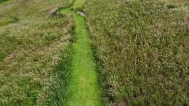 Wang Nam Khiao, Tayland kırsalındaki çimen tarlasının havadan görünüşü