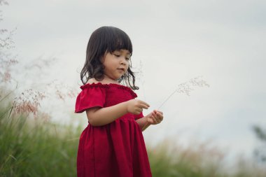 Kırmızı elbiseli neşeli kız tarlada çimen çiçeği oynuyor.