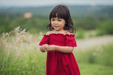 Kırmızı elbiseli neşeli kız tarlada çimen çiçeği oynuyor.