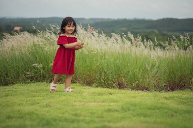 Mutlu küçük kız çimenlikte yürüyor