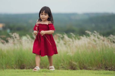 Mutlu küçük kız çimenlikte yürüyor