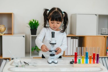 toddler girl scientist placing microscope slides with specimen. learning science at home