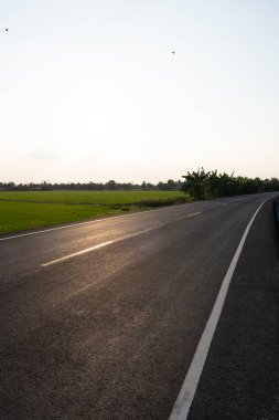 Huzurlu yol yolculuğu kırsal manzara fotoğrafçılık yeşil alanlar göz düzeyi doğa sakinliği