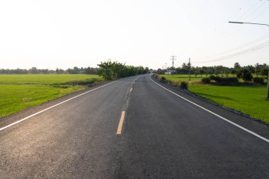 Dolambaçlı yol yolculuğu kırsal manzara fotoğrafçılık yeşil alanlar göz seviyesinde sakin keşif