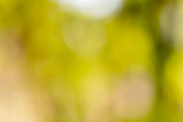 Bulanık soyut arkaplan doğası dijital sanat dinginlik için yumuşak odaklı görsel konsept