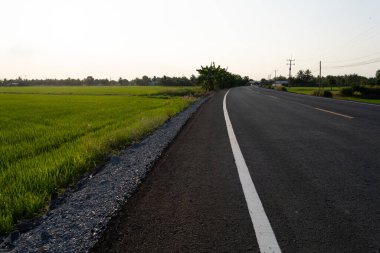 Manzaralı kırsal yol kenarı pirinç tarlaları fotoğrafçılık açık alan göz hizasında sakin bir yolculuk