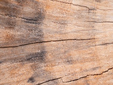 Yıpranmış ahşap yüzey üzerinde doğal desenler. Yakın çekim doğa fotoğrafçılık. Kırsal çevre.