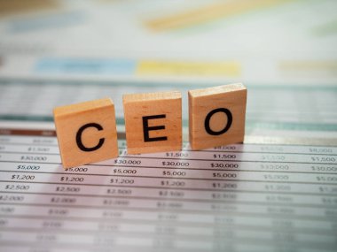 İş yönetimi, CEO 'nun kurumsal ortamlarda stratejik görüş belgesi incelemesini kavrıyor