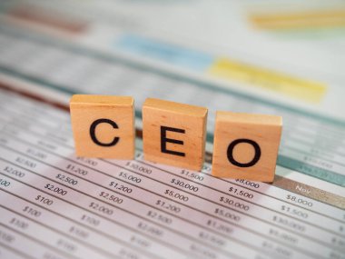 Kurumsal belge analizi iş stratejisi ve profesyonel bir ortamda liderlik anlayışı