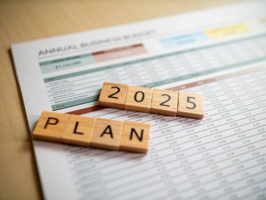 2025 yıllık bütçe içgörüleri ve eğilimleri analizi için stratejik iş planlaması