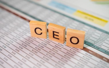 Şirket ortamında mali raporları yöneten CEO 'lar için iş stratejileri