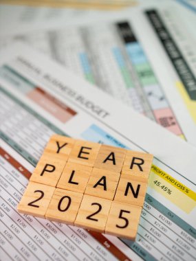 2025 yılı için stratejik iş planlaması finansal hedefler ve tahminlerin yıllık genel değerlendirmesi