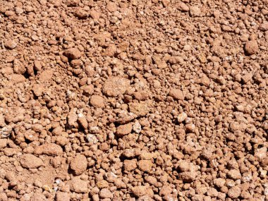 Kuru tarımsal alanlarda toprak bileşimini araştırmak bir yakın çekim toprak bilimi çalışması