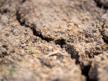 Çatlak toprak yüzeyi, kuru doğa, yakın çekim çevre endişeleri.