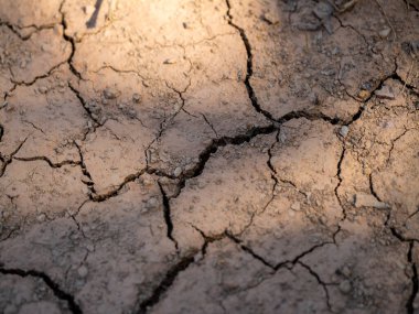 Kurumuş toprağa yakından bakmak iklim değişikliğinin etkisini çatlatıyor.