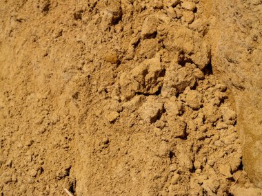 Doğal manzaralarda toprak bileşimini araştırmak Dünya 'nın etkisine yakından bakmak