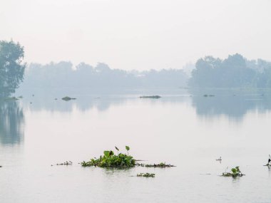 Uzak bataklıklarda sisle kaplanmış suyun durgunluğunu yansıtan huzurlu bir manzara..