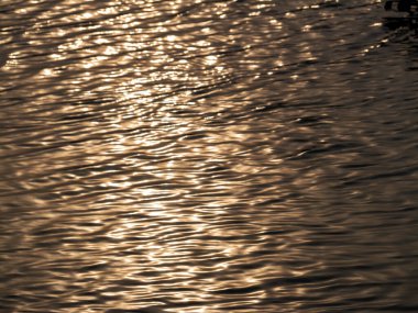 Büyüleyici dalgalar suyun yüzeyinde dans ediyor. Huzurlu bir nehir kenarı parkındaki altın akşam ışığını yansıtıyor..