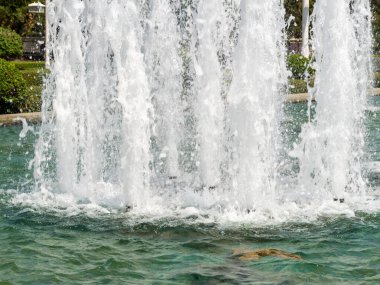 Şehir parkındaki bir çeşmenin büyüleyici görüntüsü doğanın zarafetini ve sükunetini gözler önüne seriyor..