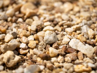 Güneşli bir açık havada çakıl taşlarının karmaşık detaylarını keşfetmek doğanın dokusunu gözler önüne seriyor..