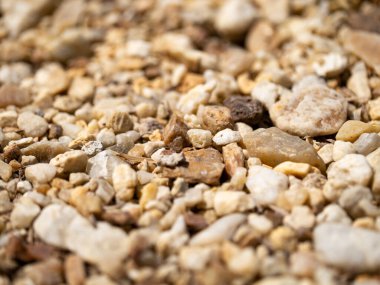 Detaylı bir yakın çekim, doğanın karmaşık dokularını ve renklerini gösteren çeşitli taş dizilerini ortaya çıkarır..