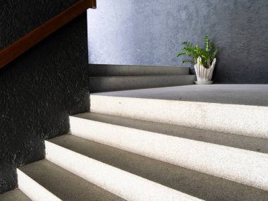 Bir bitkinin bulunduğu minimalist merdivenlerin zarafetini keşfedin. Modern bir ev ortamı..