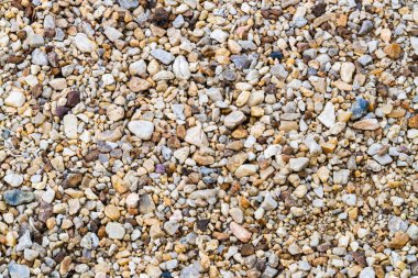 Sahile dağılmış canlı çakıl taşlarının yakın çekim görüntüsü doğanın güzelliğini gözler önüne seriyor..