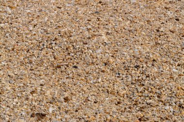 Çöl kumunun eşsiz dokusuna ve renklerine detaylı bir bakış.