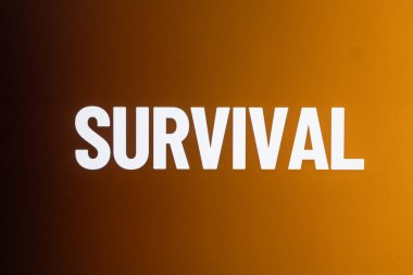 Depremden sonraki hayatta kalma stratejilerini araştırın. Şehir ortamının güvenliği ve dayanıklılığını sağlamak için..