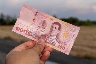 Yakın plan bir el Tayland 100 baht banknotunu doğal bir arkaplana karşı sunar..